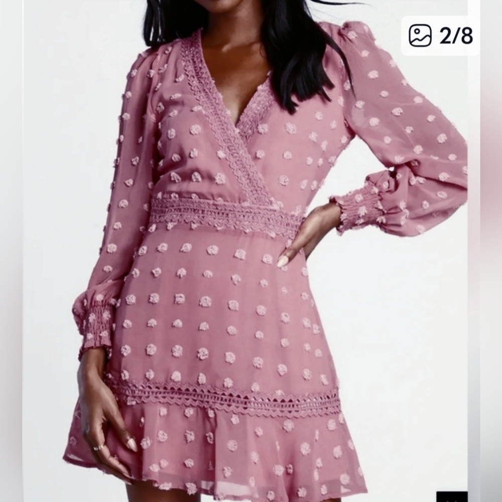 Lulus Might Be Magic Pink Clip Dot Lace Long Sleeve Ruffle Mini Dress Small NWT